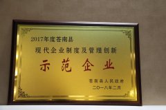 現代企業(yè)制度及管理創(chuàng)新示范企業(yè)2018